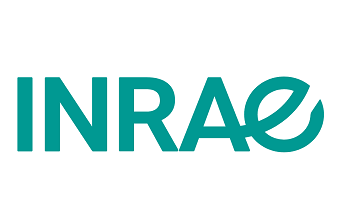 logo4
