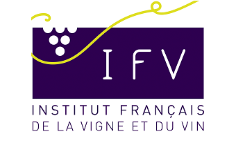 logo6