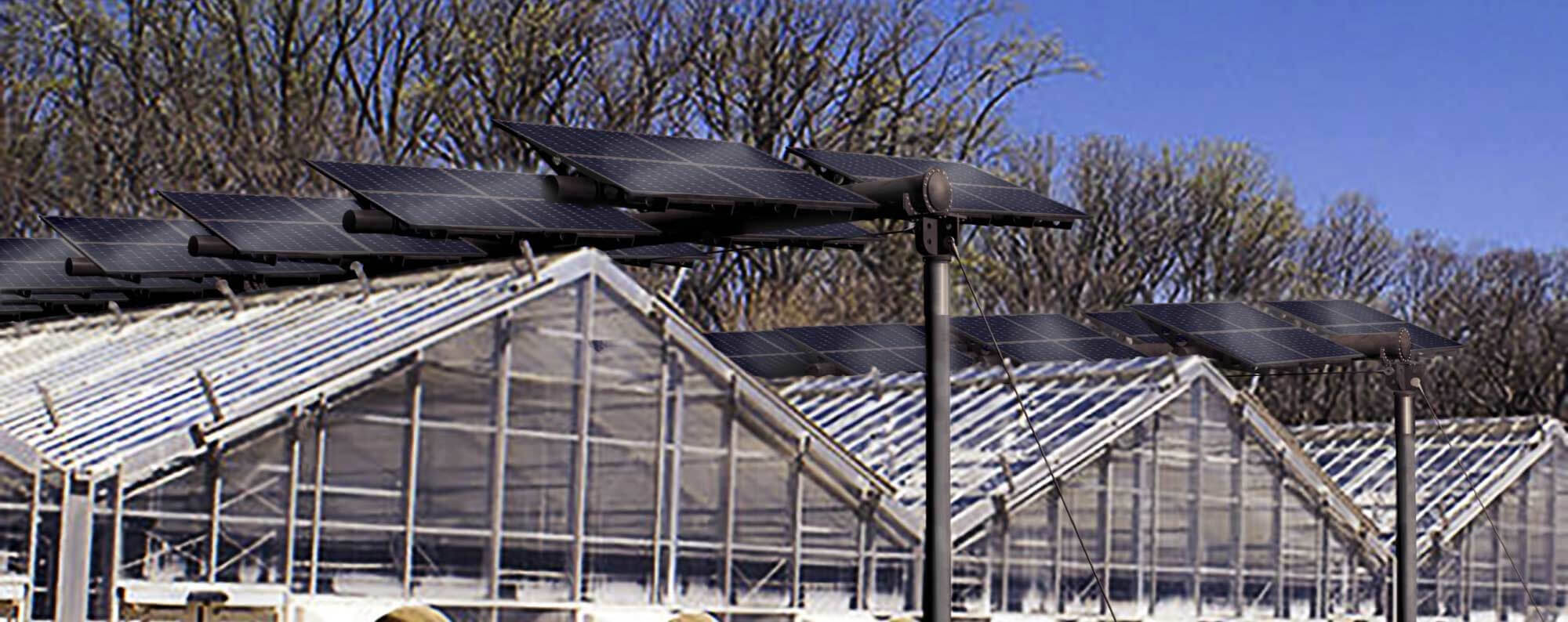 Serre agrovoltaiche